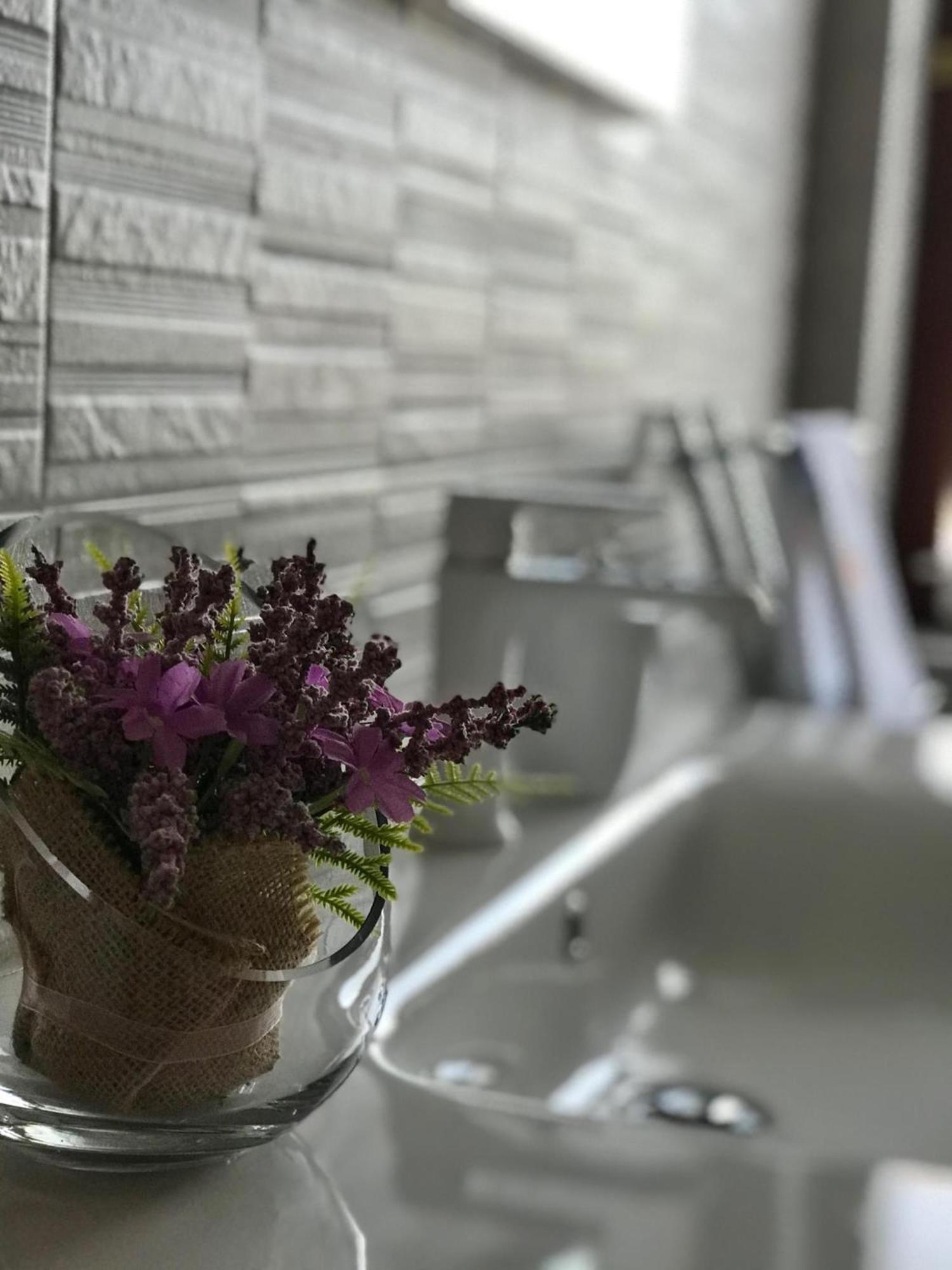 Apartment Adri 罗维尼 外观 照片